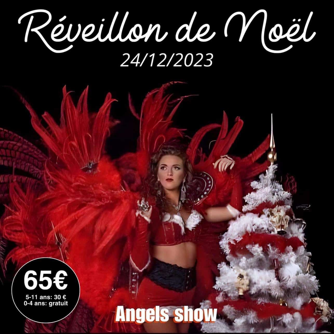 Réveillon de Noël 2023 - Angels Show